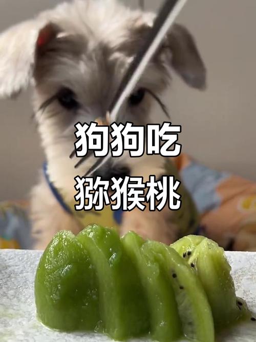 狗狗吃了猕猴桃没事吧