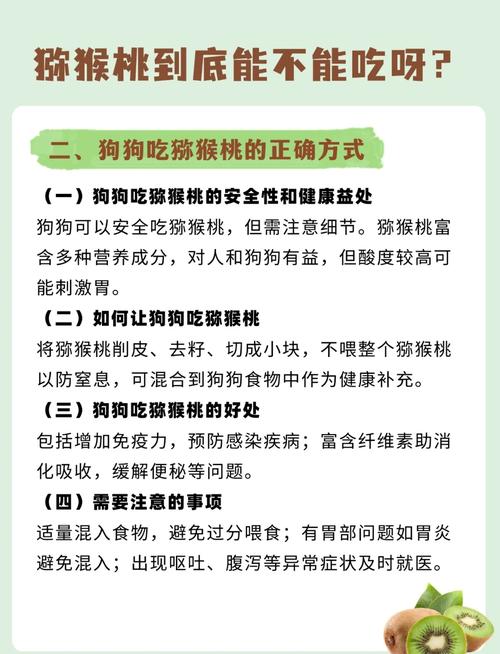 狗狗能吃猕猴桃不