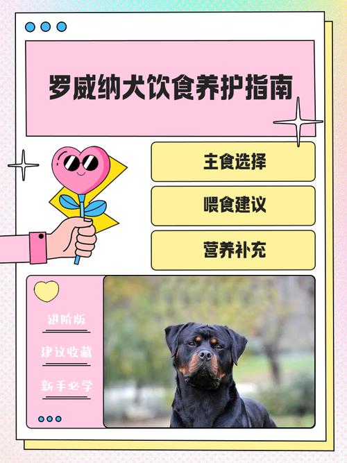 罗威纳犬不能吃什么