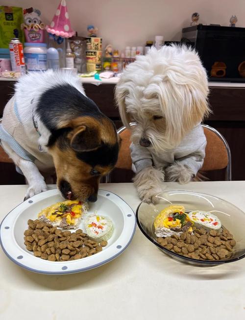 狗狗能吃榴莲披萨吗?