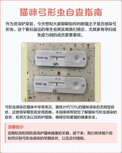 猫咪怎么检查弓形虫?