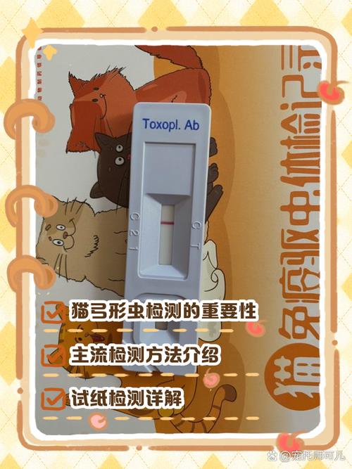 猫咪弓形虫怎么检查