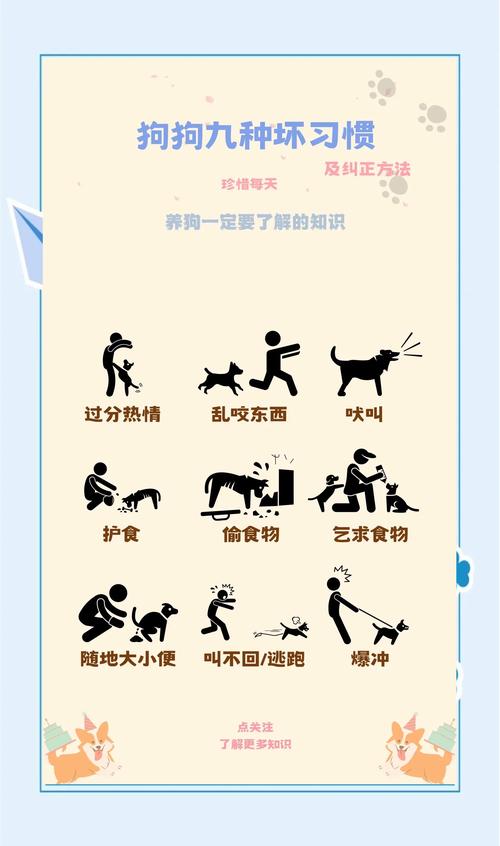 我的狗狗死了,它的尸体怎么办?