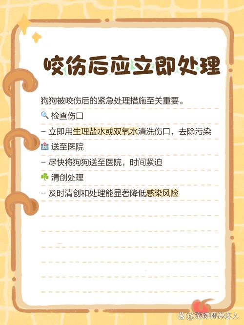 狗狗的伤口怎么处理?