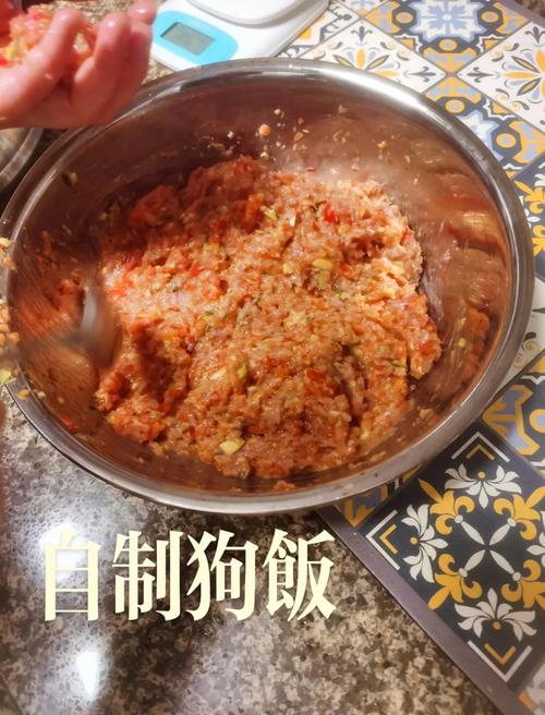 狗得大脑炎后活下来吃什么饭