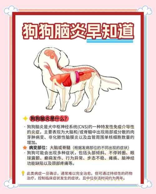 小狗大脑炎的治疗方法