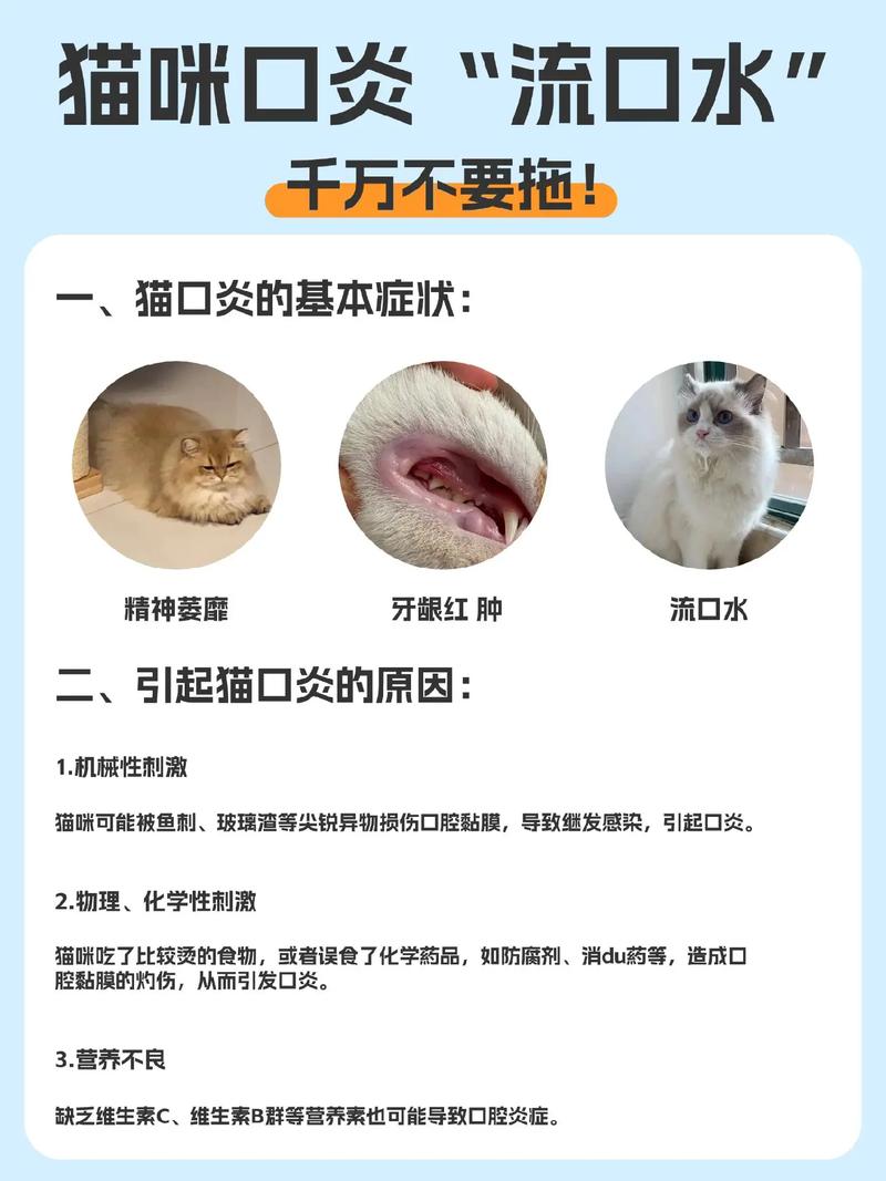 猫咪舌头一直在外面