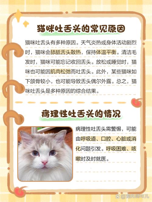 猫舌头一直伸在外面是怎么回事