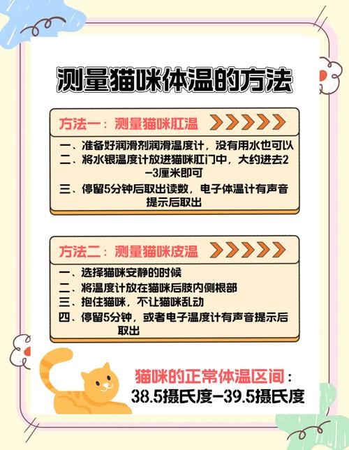 猫咪多少度算发烧