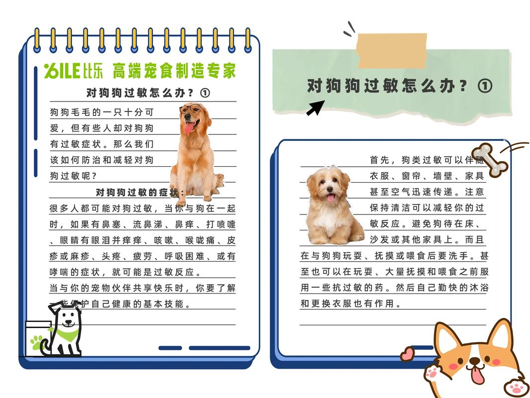 对狗狗过敏怎么办?对狗过敏怎么才能治好?