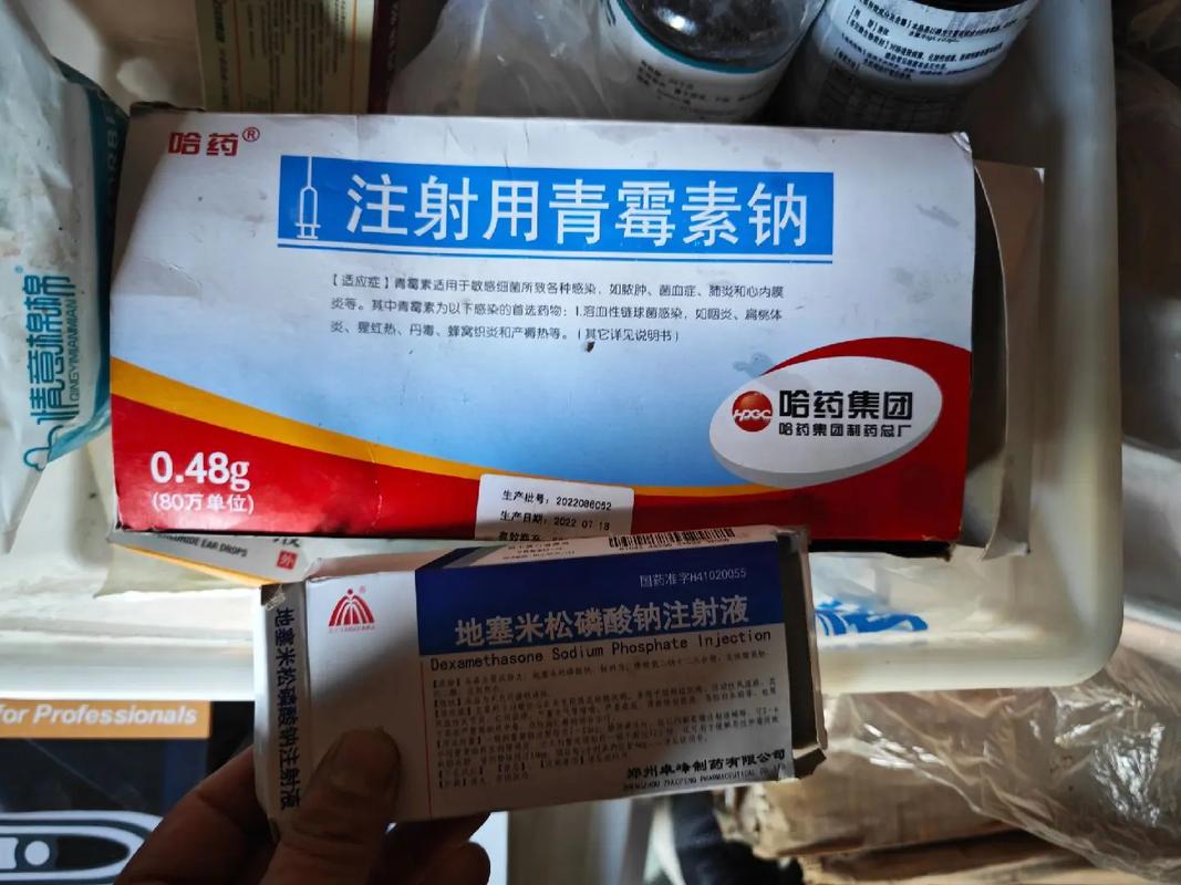 狗狗患耳血肿怎么办?