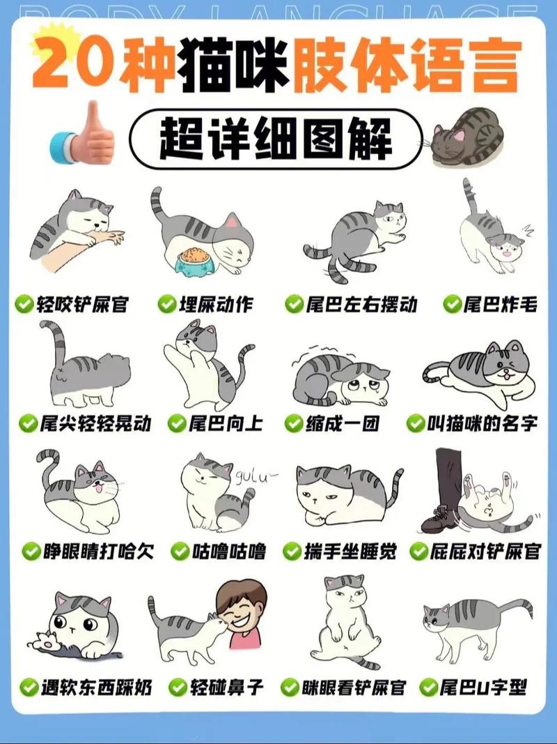 读懂20种猫咪肢体语言