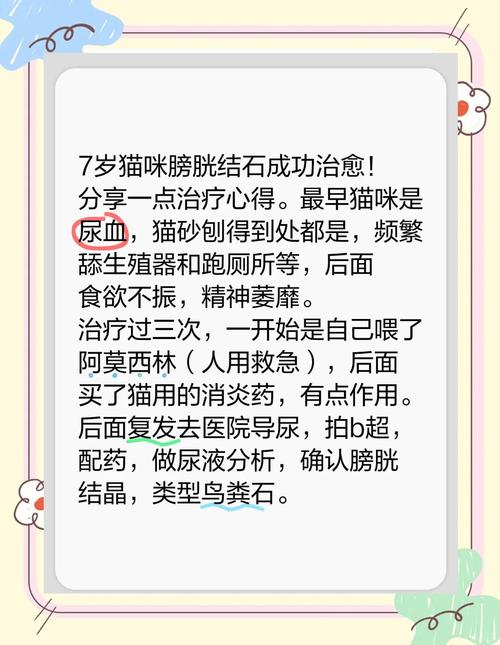 猫尿结石怎么自己处理