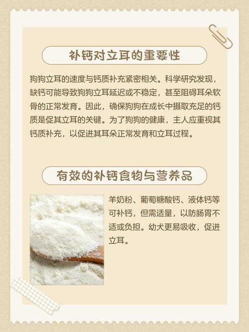 狗吃什么立耳快