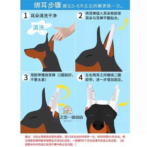狗狗缠胶布立耳方法狗狗立耳的超简易流程