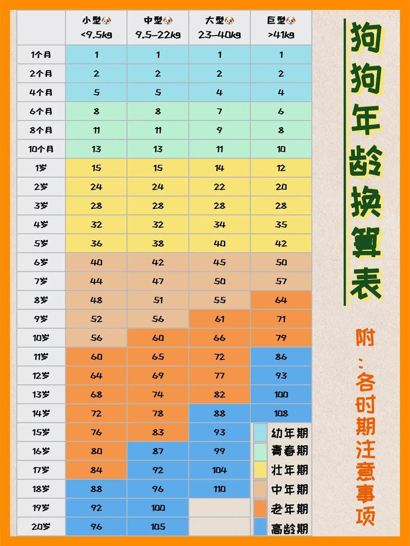 如何判断狗狗的年龄?看这5个地方就行了!