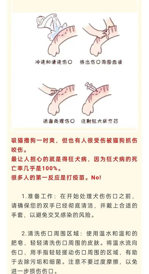 小狗蹭破皮了怎么办