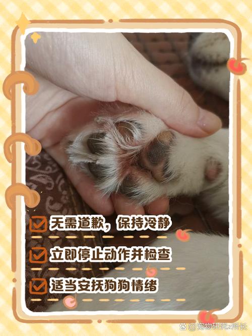 狗扭伤脚会自己恢复吗