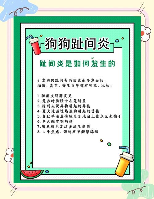 小狗的脚被门夹了怎么办?