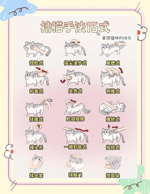 如何让猫咪把你当主人?