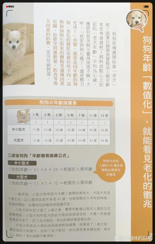 不同年龄的狗狗,如何照顾?