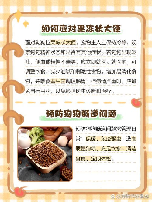 狗狗能不能吃果冻