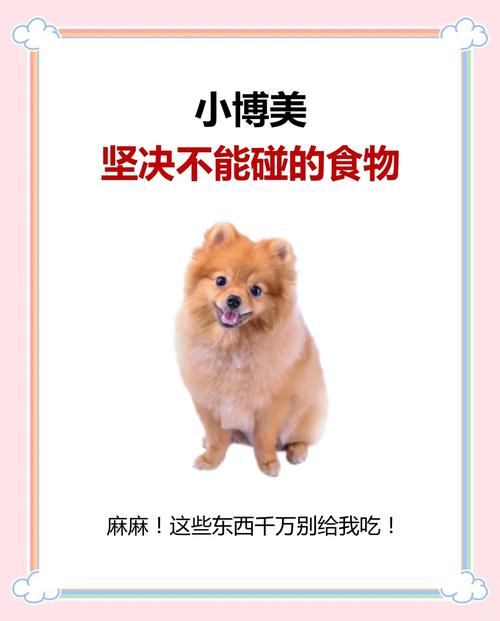 请问狗狗可以吃果冻吗