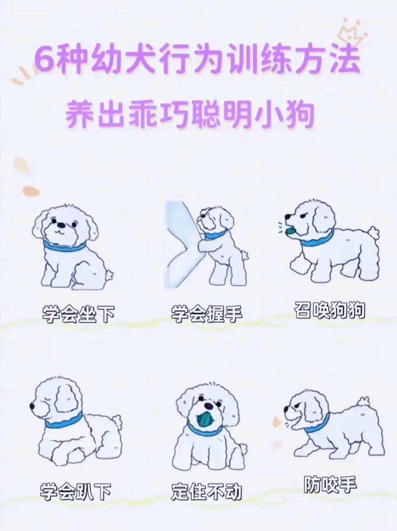 幼犬到家乱叫怎么办?