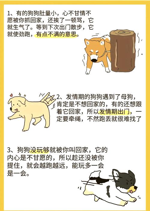 狗狗一出去玩就叫不回,叫了不搭理人,该怎么办?