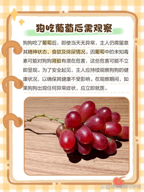 狗狗吃了葡萄干怎么办