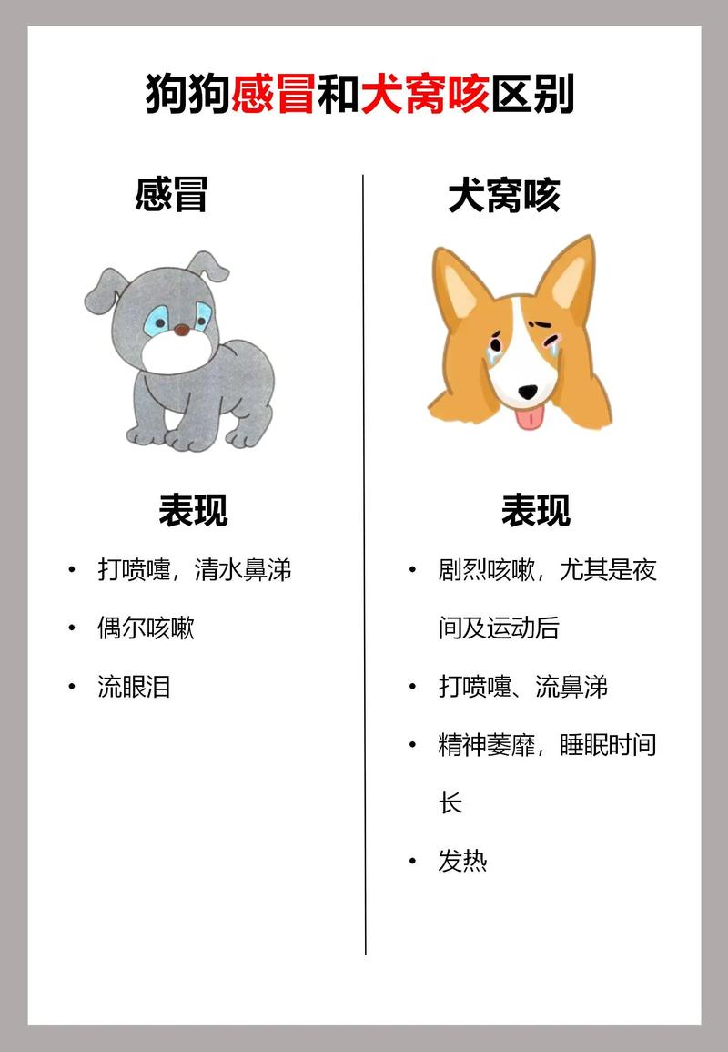 怎么判断狗狗感冒