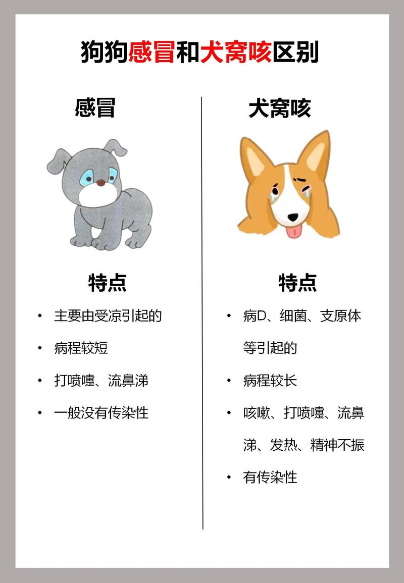怎么判断狗狗是感冒还是狗瘟?
