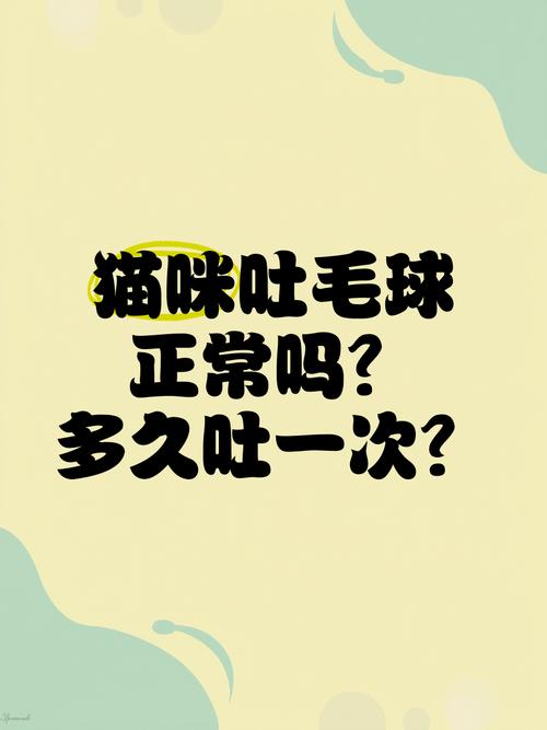 猫咪吐毛多久吐一次正常?