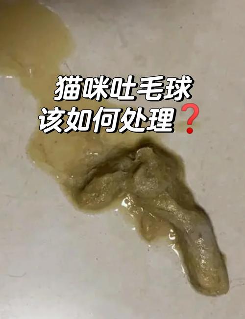 猫吐毛球多久一次正常