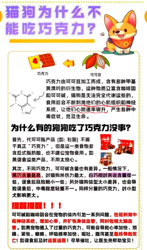 小奶猫可以吃果冻吗?