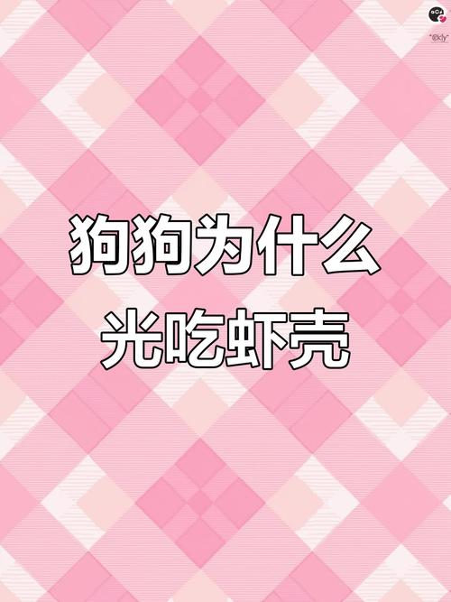 狗狗可以吃虾头吗