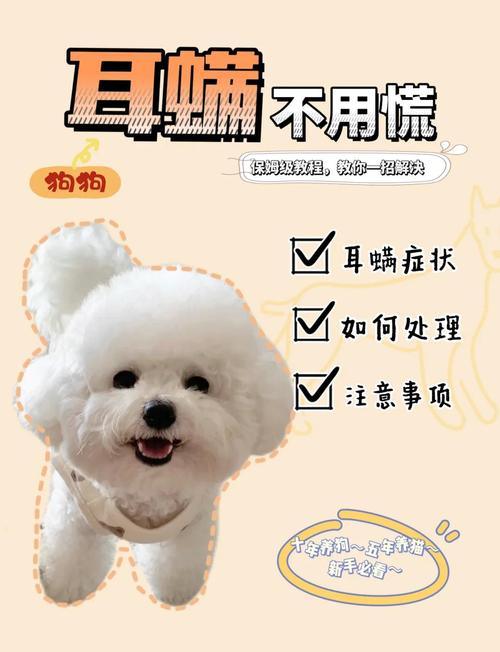 狗狗耳朵有螨虫怎么办