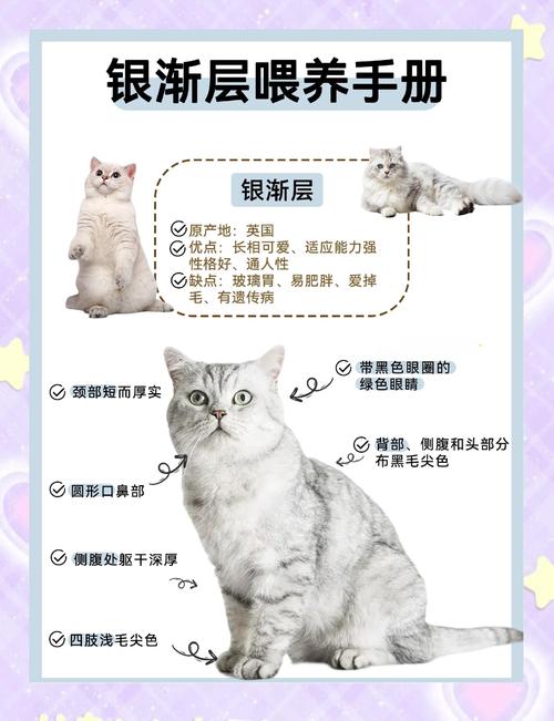 猫多久长大