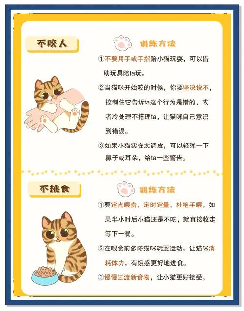 怎么训练一只土猫咪听话?