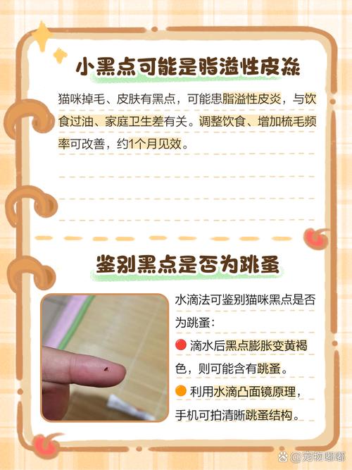 猫咪为什么全身都是黑点点