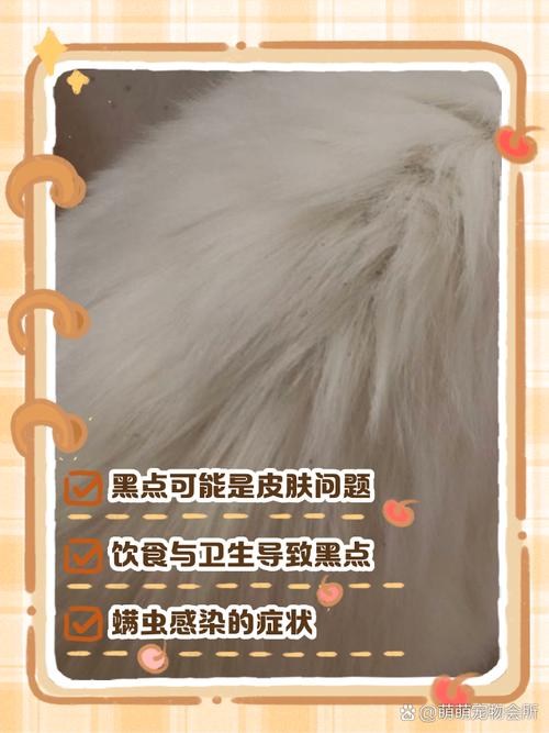 猫身上有黑色的点点是什么