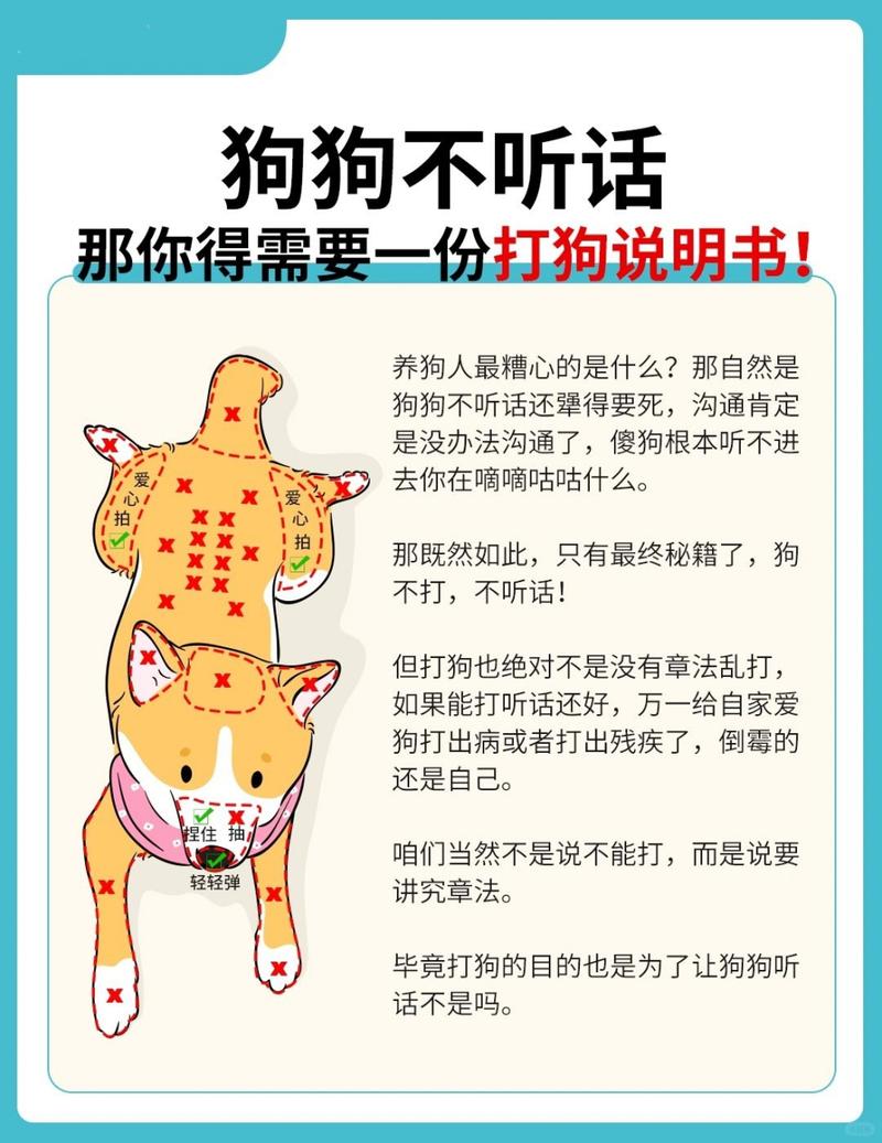 如何训练狗狗,不捡地上的东西吃?