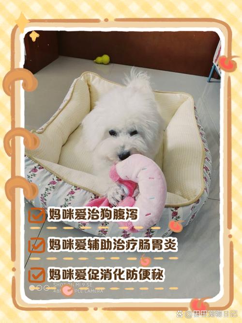 狗狗能吃妈咪爱吗