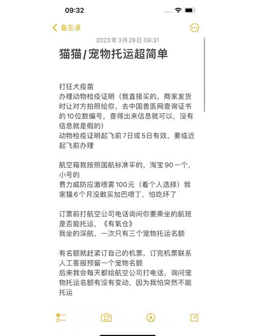 想带猫咪去外地怎么办