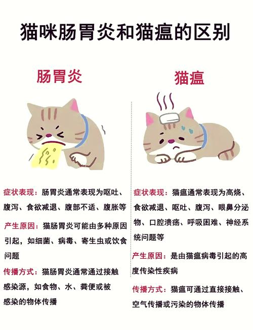 猫得了猫瘟和人睡了一晚会怎样