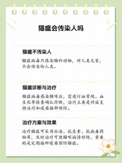 猫得了猫瘟会传染人吗