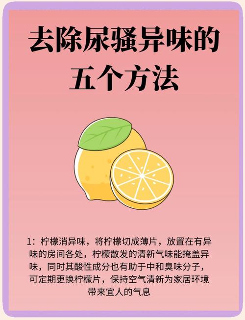 猫咪乱拉乱尿的原因都在这了!附解决办法