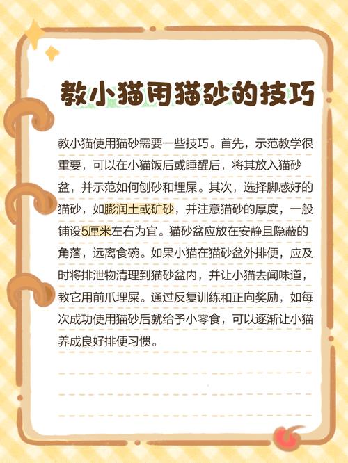 怎么刺激猫咪肛门上起拉屎