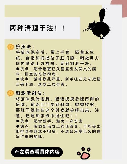 怎么诱导猫咪排便?训练猫咪解决便秘的方法!