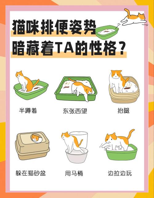 怎么刺激让便秘猫拉屎